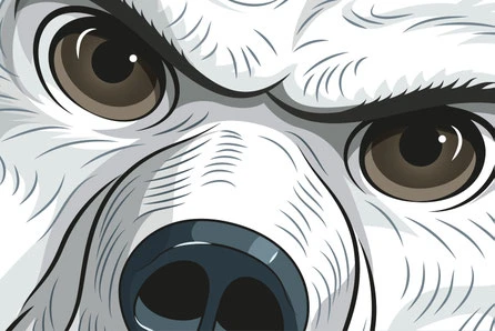 ESA Tecar Kampagne Sommerreifen: Tigerschnauze und Zähne, Vektor Zeichnung Illustrator CC |n Konzept, Idee und Illustration Werbekampagne by Lockedesign Bern |