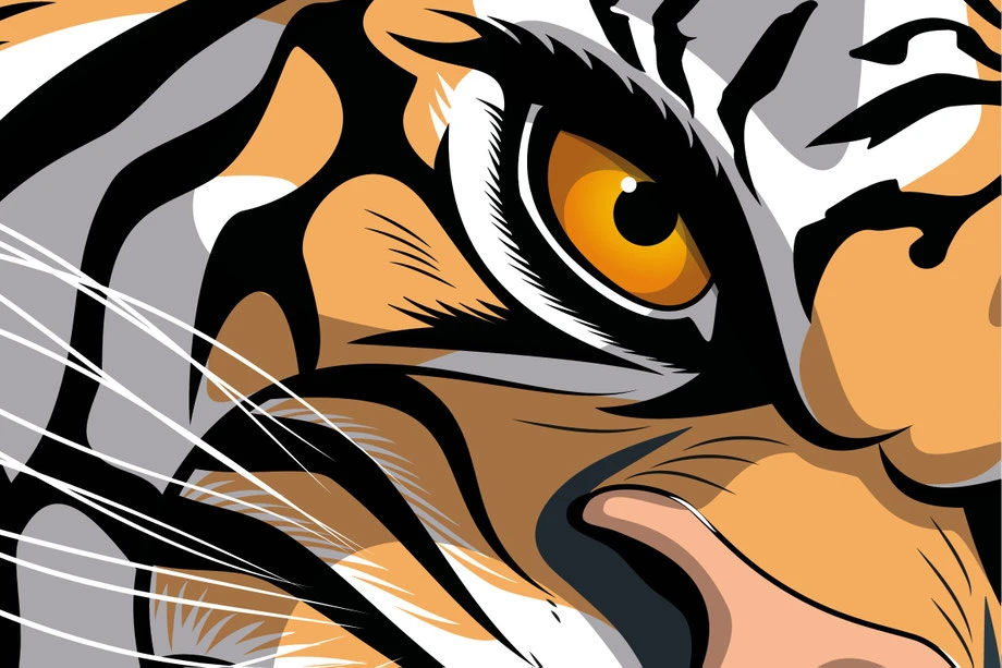 ESA Tecar Kampagne Sommerreifen: Tigerschnauze und Zähne, Vektor Zeichnung Illustrator CC |n Konzept, Idee und Illustration Werbekampagne by Lockedesign Bern |