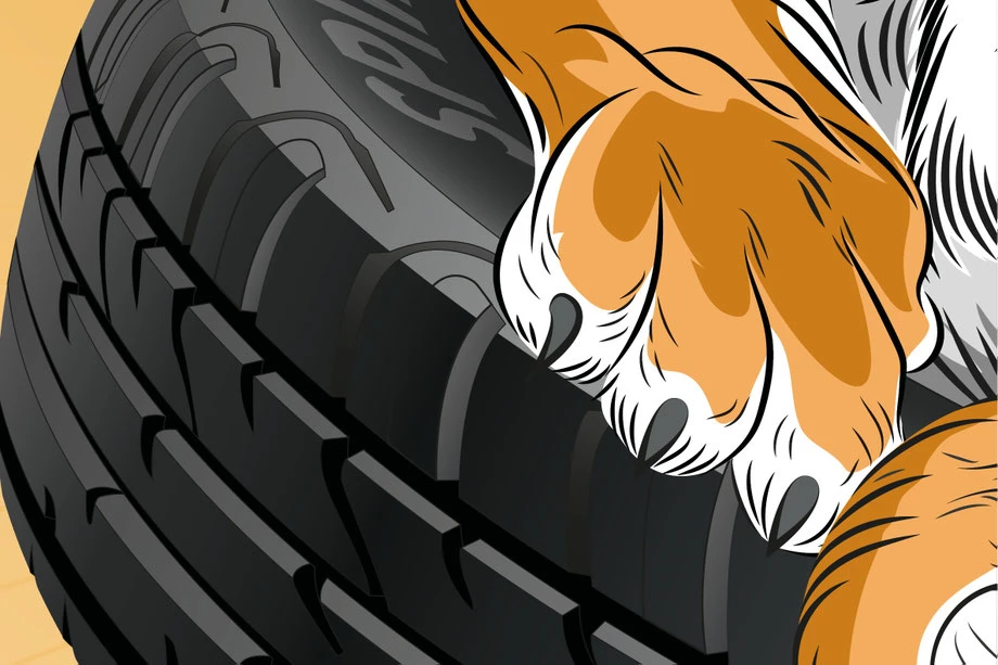 ESA Tecar Kampagne Sommerreifen: Tigerschnauze und Zähne, Vektor Zeichnung Illustrator CC |n Konzept, Idee und Illustration Werbekampagne by Lockedesign Bern |