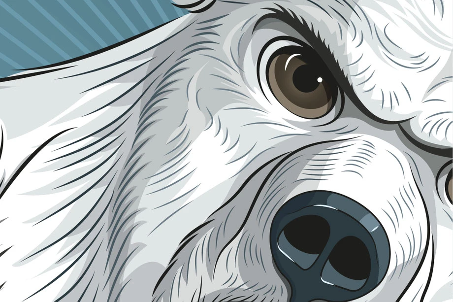 ESA Tecar Kampagne Sommerreifen: Tigerschnauze und Zähne, Vektor Zeichnung Illustrator CC |n Konzept, Idee und Illustration Werbekampagne by Lockedesign Bern |